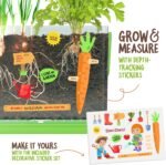 Dan&Darci Root Viewer Kit for Kids - Grow Your Own Plant for Boys & Girls Christmas Gifts - Science STEM Toy & Craft Growing Kits for Ages 4-8 Birthday Gifts for Boy, Girl 4, 5, 6, 7, 8, Year Old - Image 4
