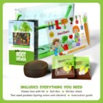 Dan&Darci Root Viewer Kit for Kids - Grow Your Own Plant for Boys & Girls Christmas Gifts - Science STEM Toy & Craft Growing Kits for Ages 4-8 Birthday Gifts for Boy, Girl 4, 5, 6, 7, 8, Year Old - Image 6