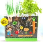 Dan&Darci Root Viewer Kit for Kids - Grow Your Own Plant for Boys & Girls Christmas Gifts - Science STEM Toy & Craft Growing Kits for Ages 4-8 Birthday Gifts for Boy, Girl 4, 5, 6, 7, 8, Year Old - Image 10