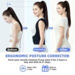 babaka Back Brace Posture Corrector for Women and Men, Adjustable Shoulder Brace for Upper and Lower Back Pain Relief - Improve Posture Correct Hunchback Slouching Kyphosis (Medium, Waist: 29.5"-35.4"'') - Image 4
