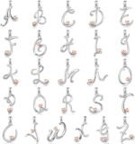 CELESTIA 925 Sterling Silver Initial Necklaces 26 Letter with Rose Gold Heart - 18 Inch Chain - Image 7