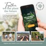 Belula Dry Brushing Body Brush Set - Natural Boar Bristle Body Brush, Exfoliating Face Brush & Bath Gloves - Ideal Dry Skin Brush for Lymphatic Drainage & Healthy Glowing Skin! - Image 7