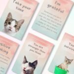 Cats Against Anxiety Cards - 50 Cards by Catchyourdreams for Self Esteem and Stress, Affirmations for Anxiety Emotions Cat Gifts for Women Men (Cats Against Anxiety) - Image 3