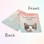 Cats Against Anxiety Cards - 50 Cards by Catchyourdreams for Self Esteem and Stress, Affirmations for Anxiety Emotions Cat Gifts for Women Men (Cats Against Anxiety) - Image 4