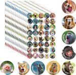680 PCS Funny Incentive Stickers - 40 Vibrant Designs Motivational Positive Animals Reward for Teacher Classroom - Encourage Kids to Do Chores, Go to The Toilet (17 Sheets) - Image 2